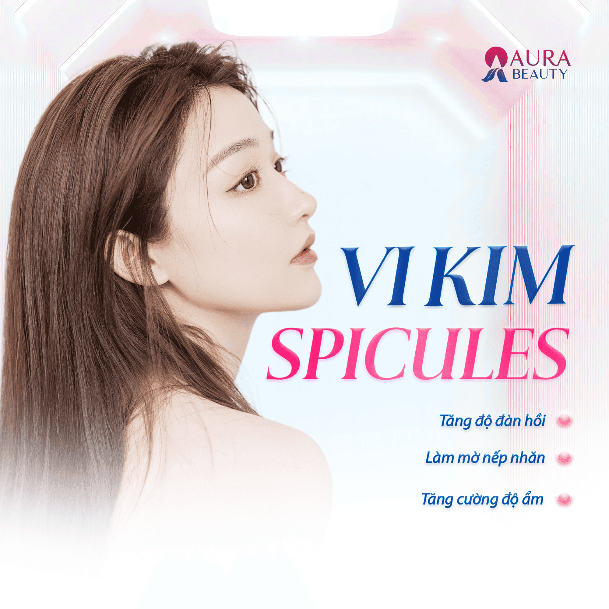 Vi Kim Tảo Spicules