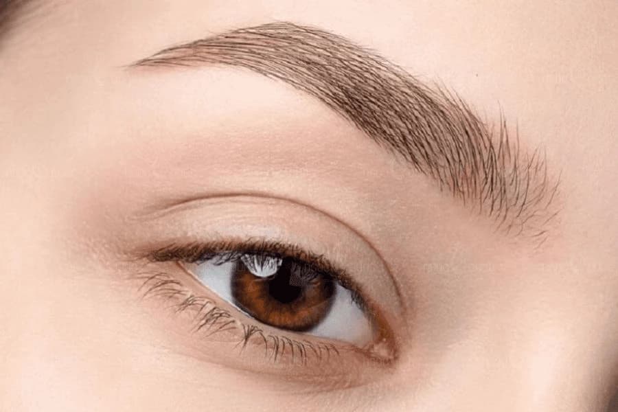 Lông mày phản ánh tính cách và trí tuệ của một người