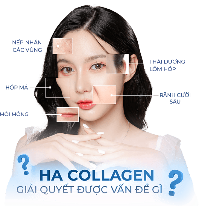 HA MD Codes — Aura Beauty